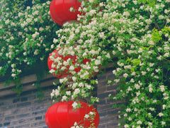 -老门东历史文化街区