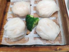 -鹅城