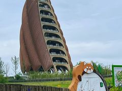 -成都大熊猫繁育研究基地