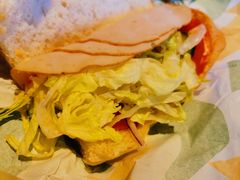 -赛百味SUBWAY(家佳源店)