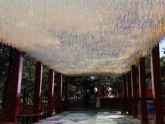 -沂蒙山旅游区龟蒙景区