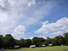 -上海吴淞炮台湾国家湿地公园