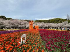 -苏州上方山国家森林公园