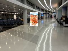 -奥黑尔国际机场