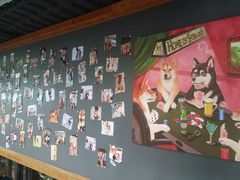 用餐区-柴犬高等学院·狗咖·柴犬售卖·宠物训练