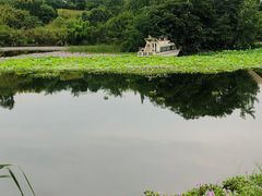 -白鹭湾湿地公园