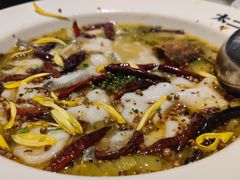 -新太二·鲜料川菜(智慧城广百店)