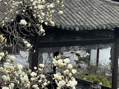 -何园