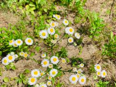 -松声马术俱乐部