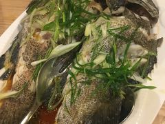 -Isla Sugbu Seafood City