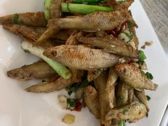 -品雅轩农家乐