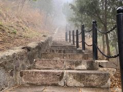 -北京十三陵国家森林公园蟒山景区