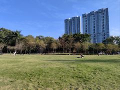 -广州珠江公园