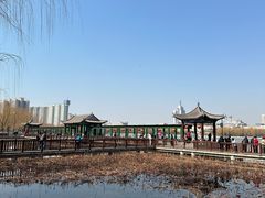 -莲花池公园