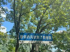 -灵栖洞天