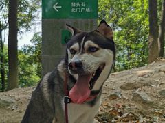 -火炉山森林公园