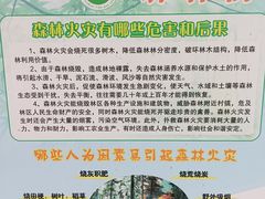 -火炉山森林公园