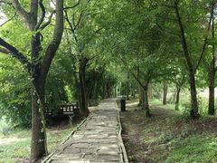 -贵阳市花溪国家城市湿地公园