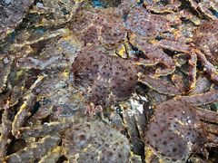 -79号渔船海鲜饭店(宝安店)
