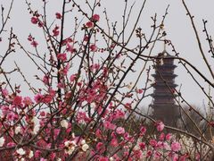 -江苏三台山国家森林公园