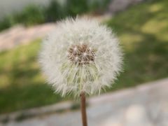 -北京宽沟会议中心