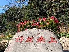 -普陀山慧济禅寺