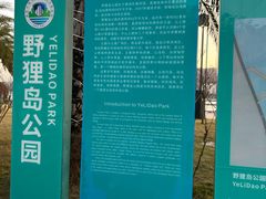 -野狸岛