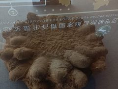 -中国西峡恐龙遗迹园