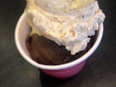 -Patagonia Chocolates(皇后镇店)