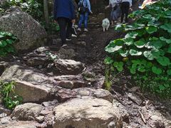 -芦芽山旅游度假区