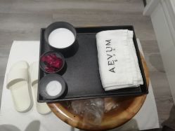 -奥斯芬欧系贵族SPA
