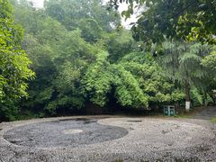 -潜山国家森林公园