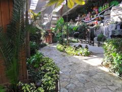 -南宫五洲植物乐园