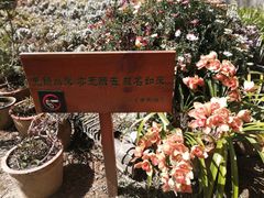 -寂照庵