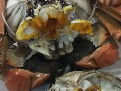 -上海财经大学-新食堂
