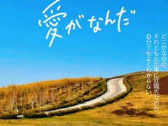 -呼伦贝尔大草原