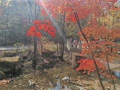 -关门山森林公园