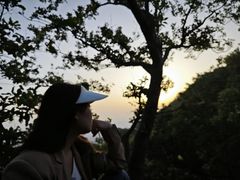 -紫金山山顶公园