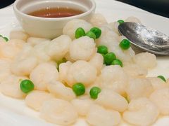 -新南华大酒店(长寿店)