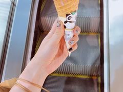 -野人先生现做冰淇淋(西安赛格店)