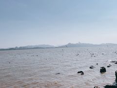 -深圳湾公园(南山区)