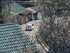 -四明山国家森林公园
