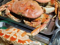 -凤城·食都