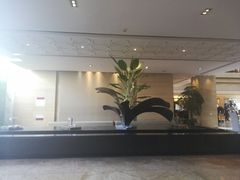 -青岛景园假日酒店