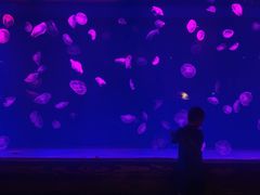 -华夏文旅海洋公园