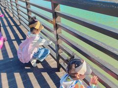 -王借岗森林公园
