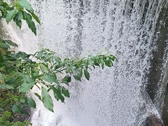 -大奇山国家森林公园