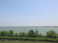 -江滩湿地公园