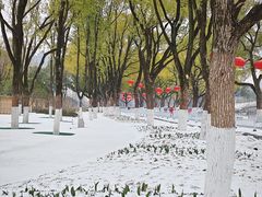 -武汉动物园