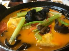 -四季春